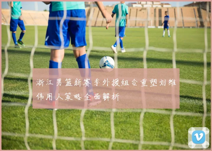 浙江男篮新赛季外援组合重塑刘维伟用人策略全面解析